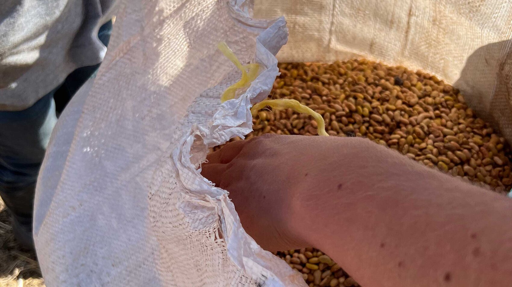 Galerie Essen verteilen