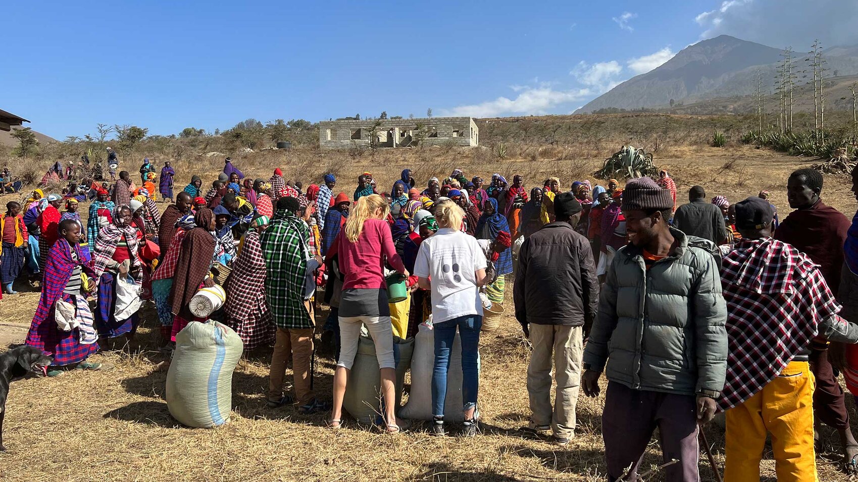 Galerie Essen verteilen